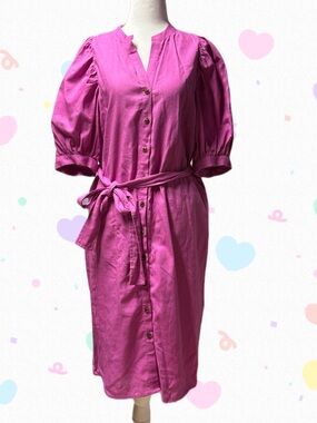 Ann Taylor Bright Fuchsia Mini Dress